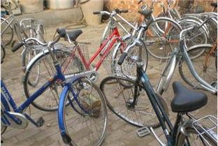 进口自行车爆料视频,视频爆料揭示品质与价格之谜