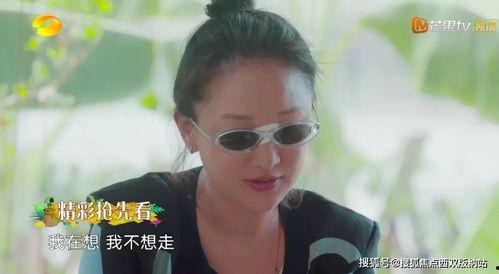 向往的生活plus版在线播放,田园生活新体验，在线播放带你领略乡村魅力